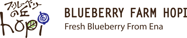 Blueberry Farm HOPI - Fresh Blueberry From Ena
